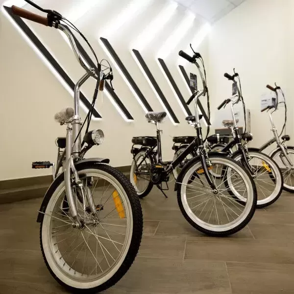 E-bike - SBC-F3.webp