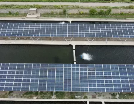 Kayan Silver Fish.webp