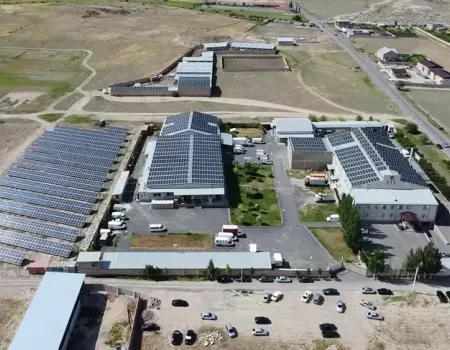 Ani Produkt Kayan Verevic.webp