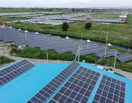 Max Fish Arevayin Kayan.webp