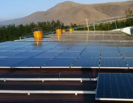 Arevayin Kayan Pig Pharm.webp