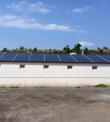 Pig Pharm, Ferma.webp