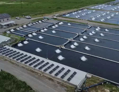 Kayany Ddzakhic.webp