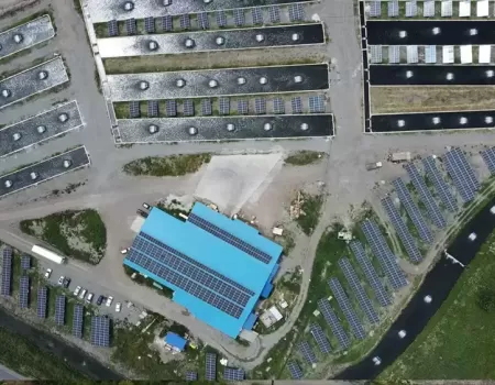 Max Fish Kayany Verevic.webp