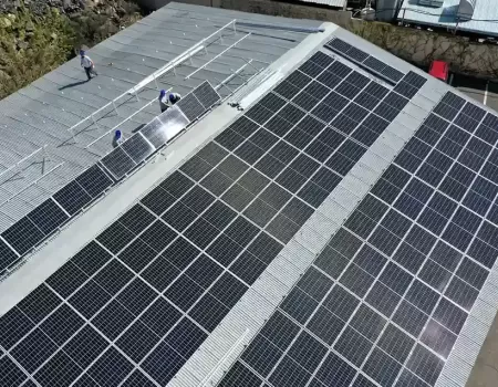 Armenia Tv Dzaghic.webp