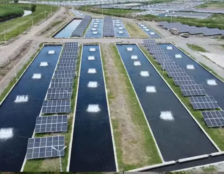 Arevayin Kayan Max Fish.webp