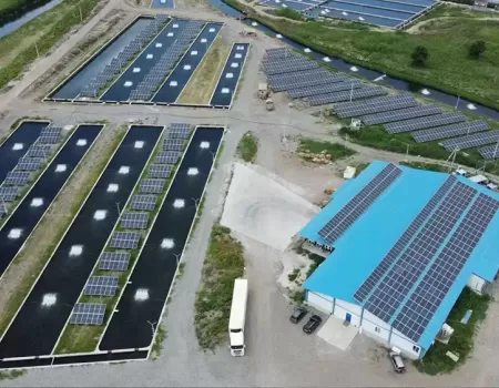 Max Fish SPY Kayan.webp