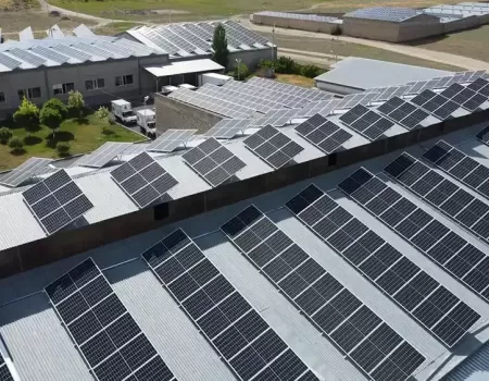 Ani Produkt Kayan.webp