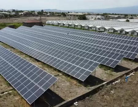 Kayany Ddzakhic.webp